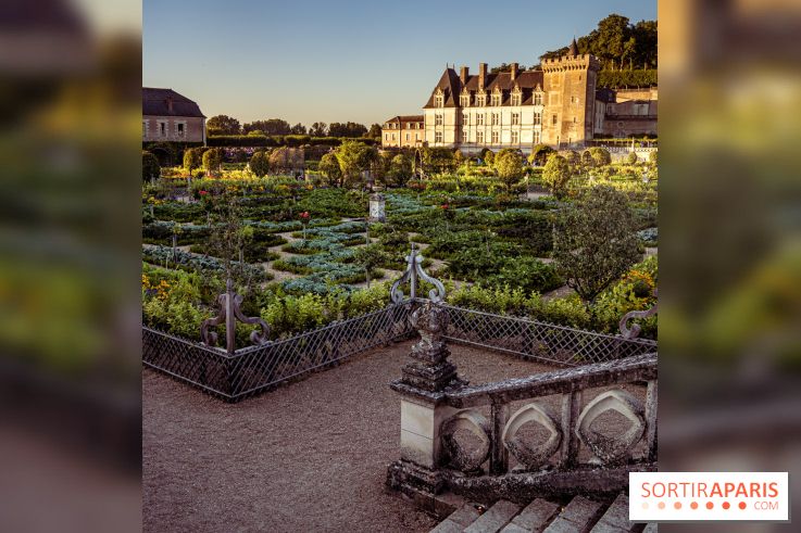 Le Château de Villandry et ses jardins