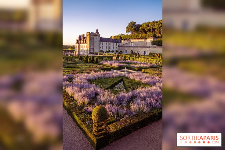 Le Château de Villandry et ses jardins