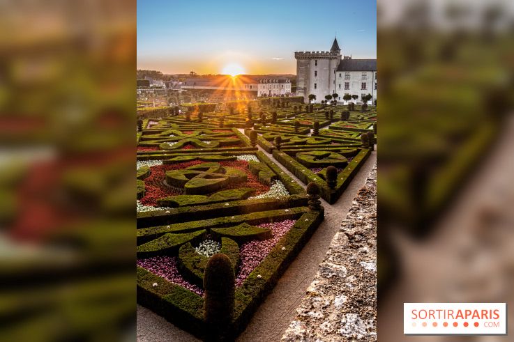 Le Château de Villandry et ses jardins