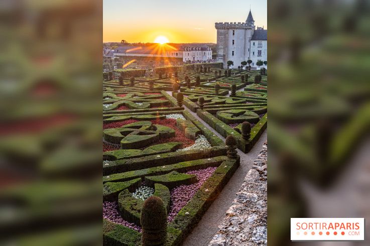 Le Château de Villandry et ses jardins