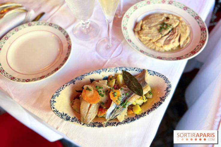 Restaurant Café Max - Hareng