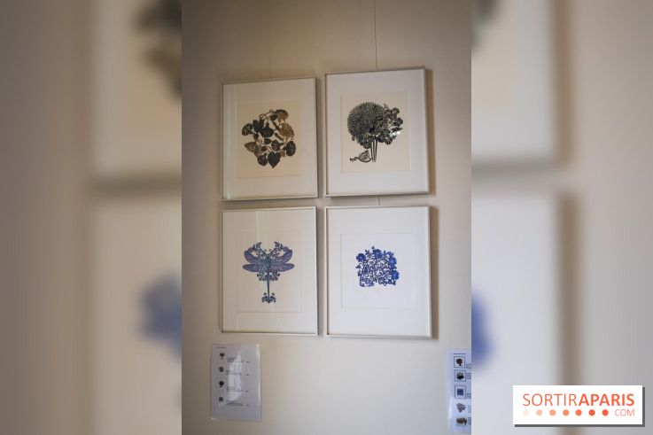 Demoiselle Nature, l'exposition de Michael Cailloux au Cercle Suédois