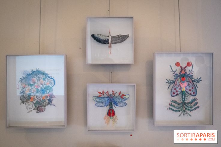 Demoiselle Nature, l'exposition de Michael Cailloux au Cercle Suédois