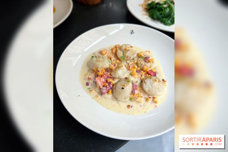 Restaurant Ardent - Saint-Jacques