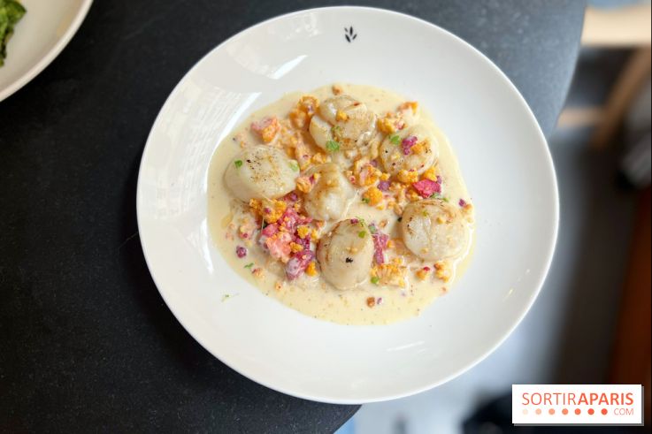Restaurant Ardent - Saint-Jacques