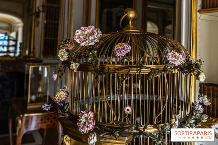 Les appartements de Madame Du Barry restaurés au Château de Versailles - bibliothèque