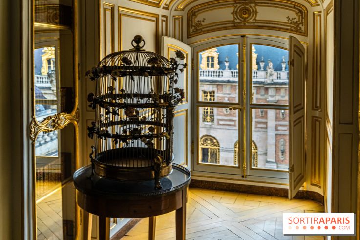 Les appartements de Madame Du Barry restaurés au Château de Versailles - bibliothèque