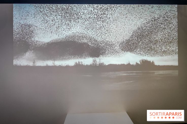 Foules, l'exposition interactive de la Cité des Sciences et de l'Industrie - nos photos