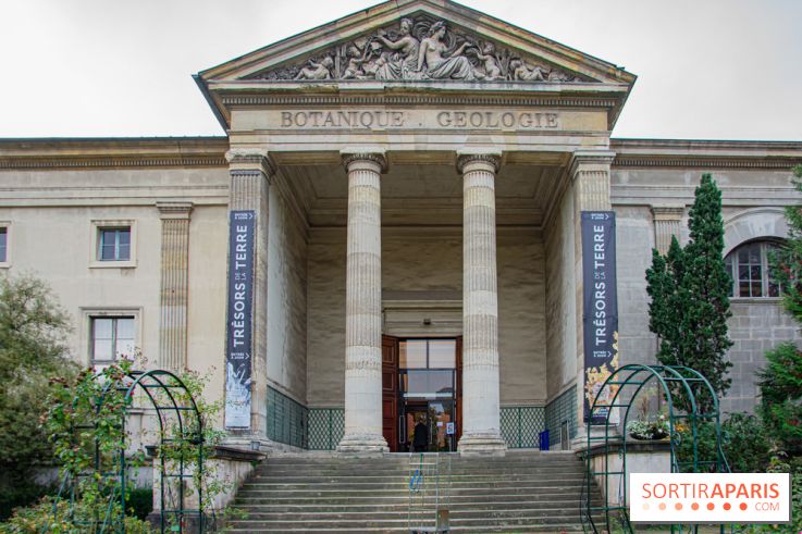 Mini-monstres, nos photos de l'exposition à la galerie de Géologie du Muséum d'Histoire naturelle