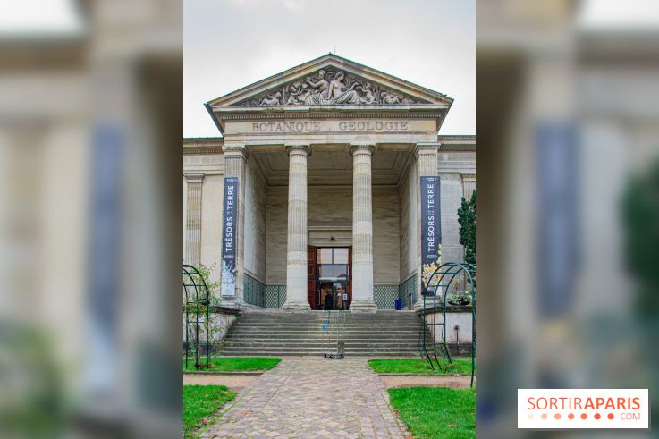 Mini-monstres, nos photos de l'exposition à la galerie de Géologie du Muséum d'Histoire naturelle