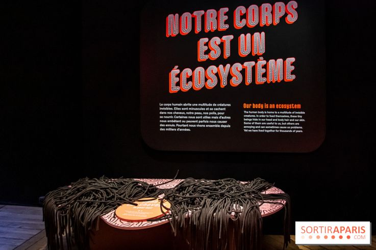 Mini-monstres, nos photos de l'exposition à la galerie de Géologie du Muséum d'Histoire naturelle