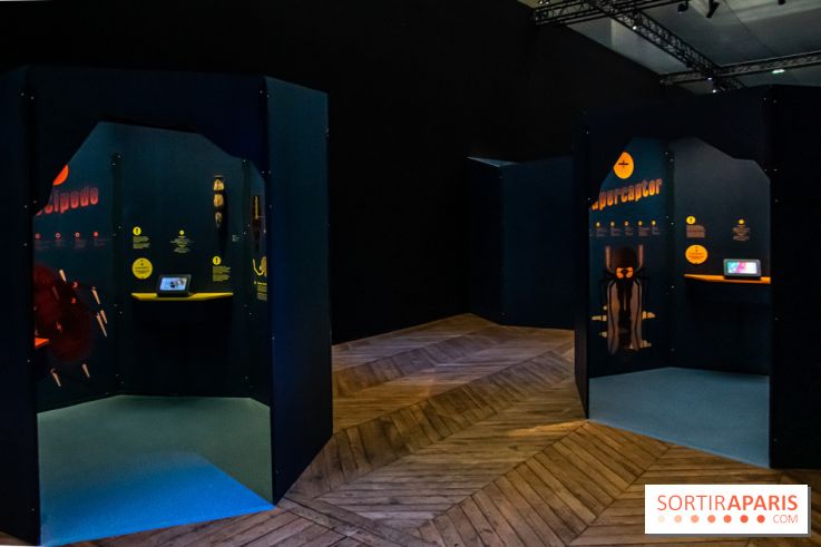 Mini-monstres, nos photos de l'exposition à la galerie de Géologie du Muséum d'Histoire naturelle