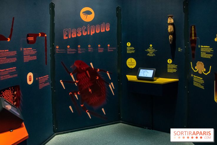 Mini-monstres, nos photos de l'exposition à la galerie de Géologie du Muséum d'Histoire naturelle