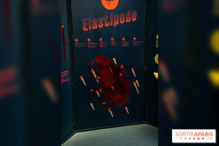 Mini-monstres, nos photos de l'exposition à la galerie de Géologie du Muséum d'Histoire naturelle