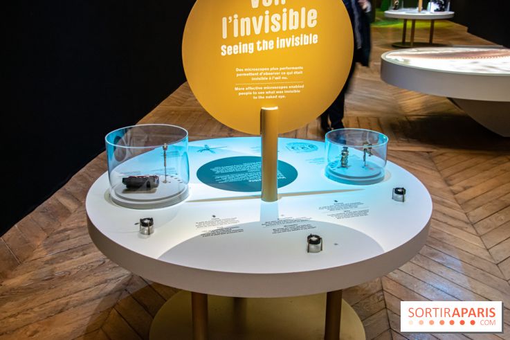 Mini-monstres, nos photos de l'exposition à la galerie de Géologie du Muséum d'Histoire naturelle