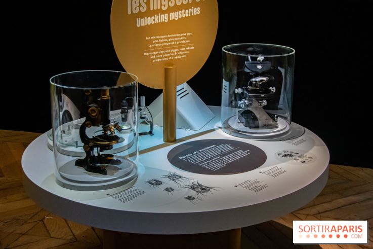 Mini-monstres, nos photos de l'exposition à la galerie de Géologie du Muséum d'Histoire naturelle