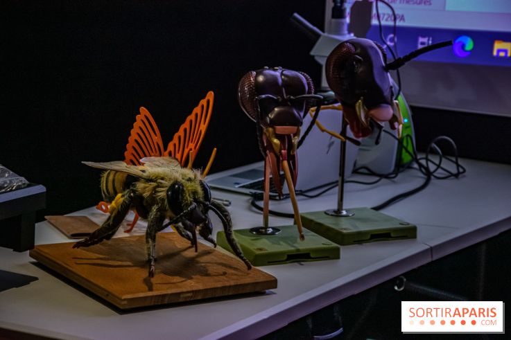 Mini-monstres, nos photos de l'exposition à la galerie de Géologie du Muséum d'Histoire naturelle