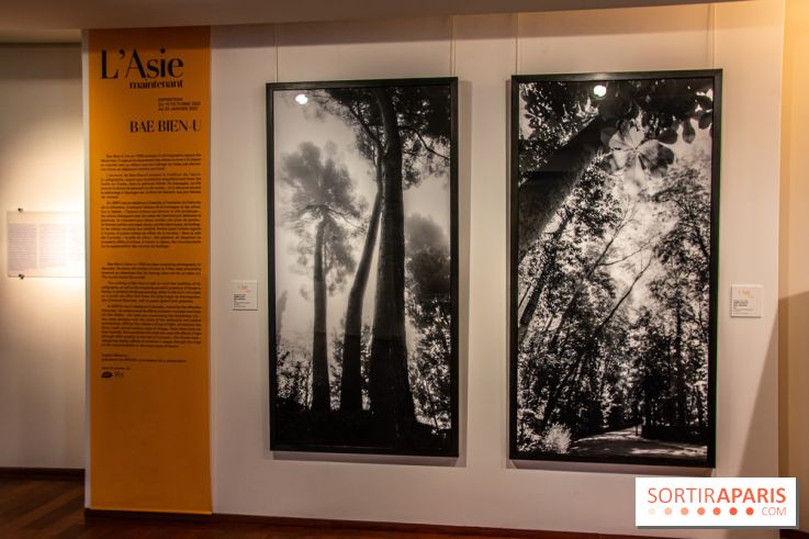 L'Asie Maintenant 2022, l'exposition en partenariat avec Asia Now au Musée Guimet