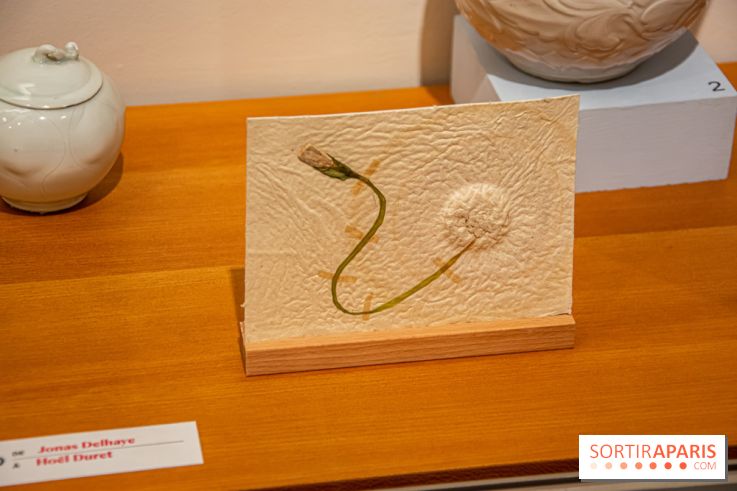 Exposition Bons Baisers de Pékin au Musée Guimet