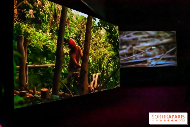 Exposition au Palais de Tokyo : Shéhérazade, la nuit - nos photos