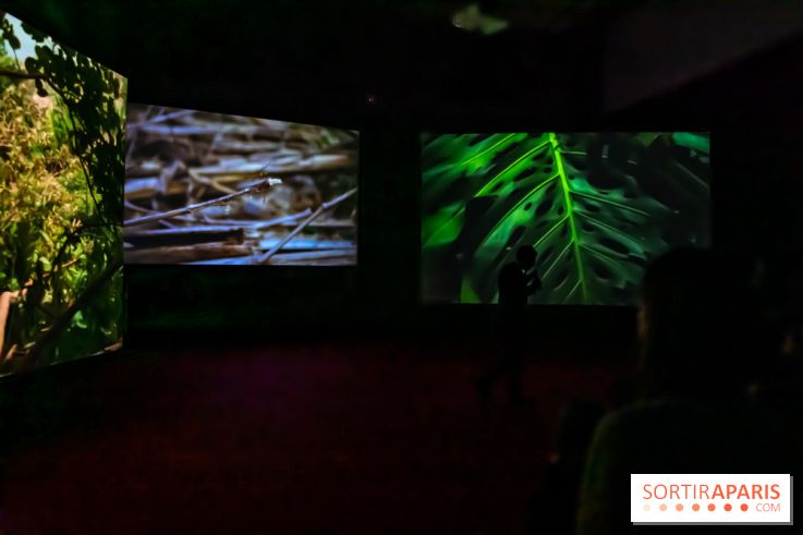 Exposition au Palais de Tokyo : Shéhérazade, la nuit - nos photos