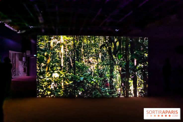 Exposition au Palais de Tokyo : Shéhérazade, la nuit - nos photos