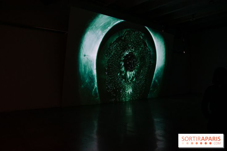 Exposition HUMPTY\DUMPTY au Palais de Tokyo et à Lafayette Anticipations - nos photos