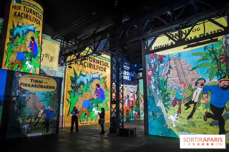 Tintin, l'aventure immersive à l'Atelier des Lumières : l'exposition insolite à vivre - nos photos