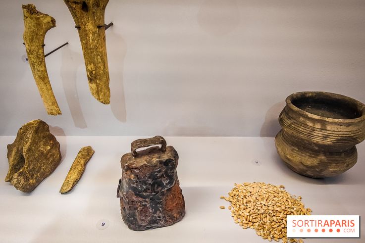 Le monde de Clovis, l'exposition dont vous êtes le héros au musée d'Archéologie nationale - photos