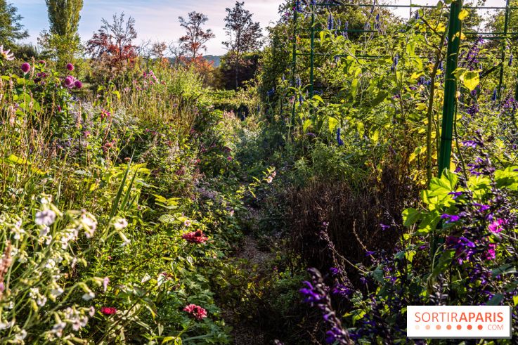 Les Jardins de la Maison Claude Monet à l'automne