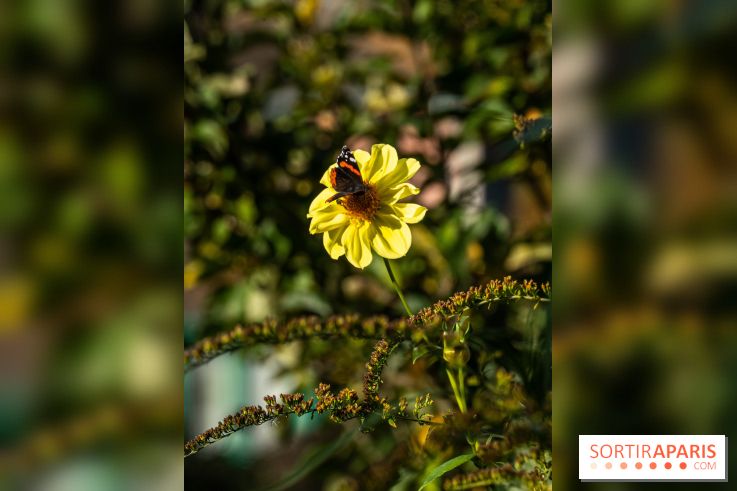 Les Jardins de la Maison Claude Monet à l'automne