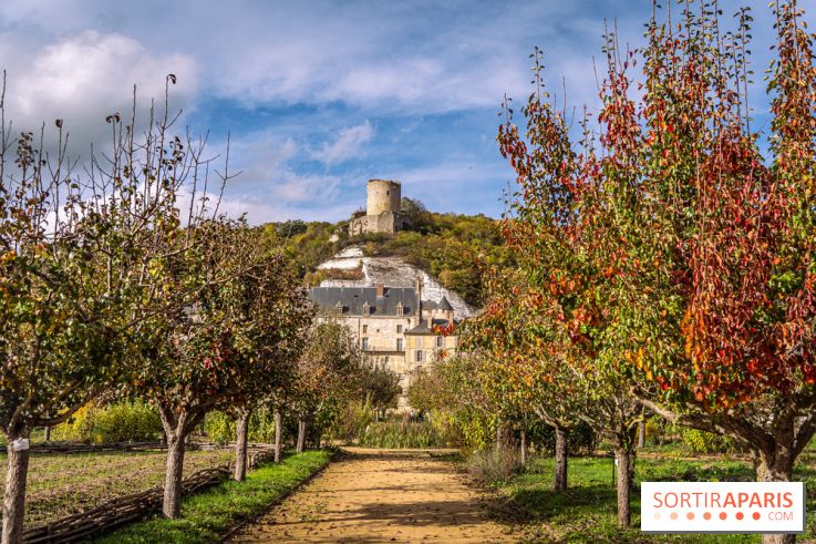 Château et potager de la Roche-Guyon