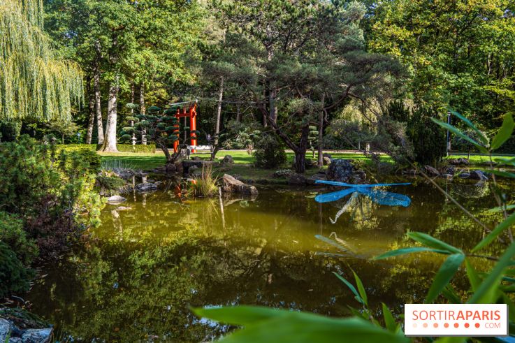 Le Jardin Japonais secret d'Aincourt
