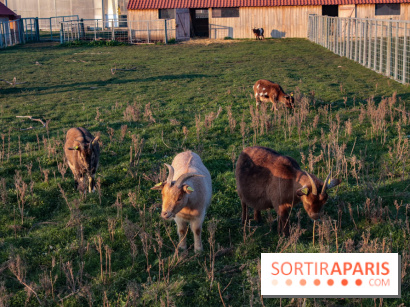 Fermes de Gally - Saint Denis - ED9AAD72 02C7 4C56 B502 2B079F42EDDF