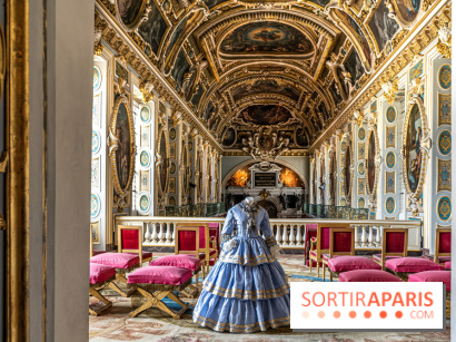 Château de Fontainebleau - Napoléon III et Eugénie -  A7C3938 HDR