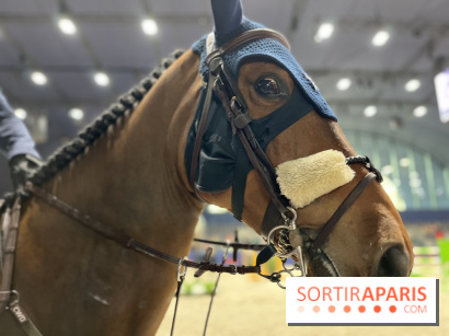 cheval - Saut Hermès - IMG 0975