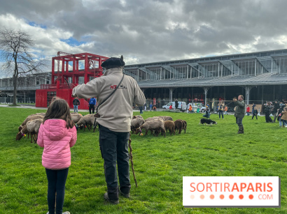 Transhumance à la Villette - CE1F1B78 657D 4D9B 8C5A FA4919382939
