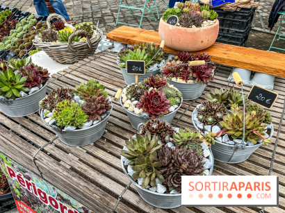 Esprit Jardin à Versailles - Marché aux plantes et animations  - IMG 6093