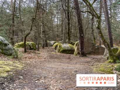 Barbizon, le village entre art et nature