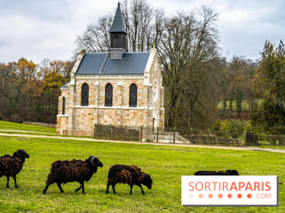 Domaine National de Port-Royal des Champs dans les Yvelines -  A7C3207