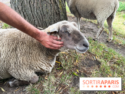 La ferme de Saint-Cyr l'Ecole - image00075
