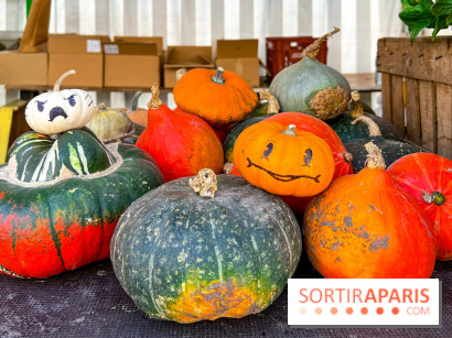 Automne au Potager du Roi - Citrouilles - Halloween