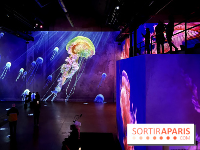 Océans, l'Odyssée Immersive à l'Atelier des Lumières