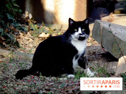 Le Père Lachaise, le cimetière le plus mythique de Paris et ses tombes de personnalités célèbres