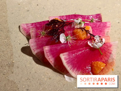 Datil - Radis, Saint-Jacques, ail