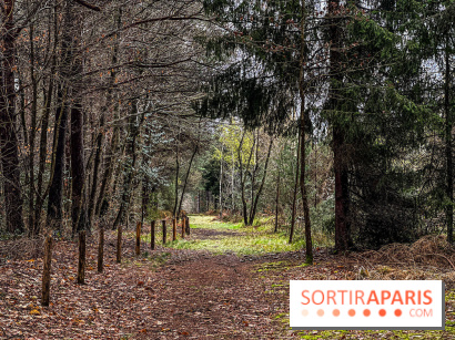 Arbor&Sens, l'Arboretum de Franchard en forêt de Fontainebleau - les photos