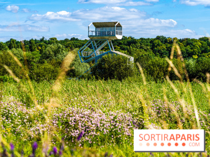 Le Parc du peuple de l'herbe dans les Yvelines - Étang de Galiotte - Carrières-sous-Poissy