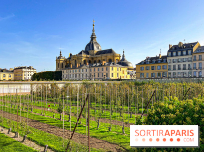 Les Saveurs du Potager du Roi à Versailles : marché de fruits & légumes, expositions et animations - image00055