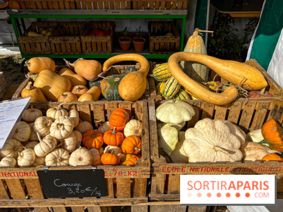 Les Saveurs du Potager du Roi à Versailles : marché de fruits & légumes, expositions et animations