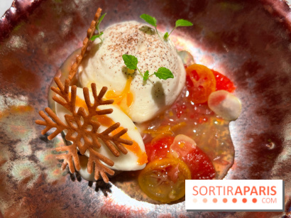 Virtus - Dessert main de bouddha